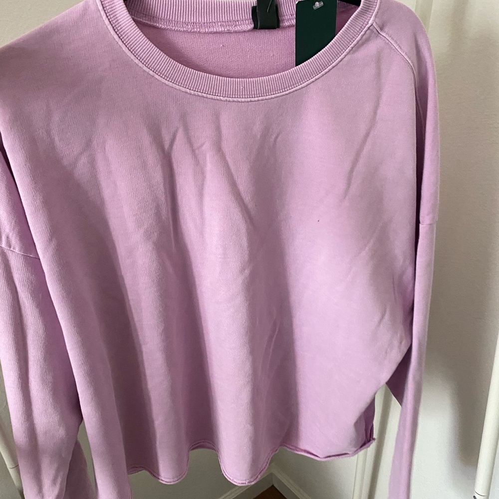 Purple oversized pullover from Wild Fable!